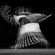 Illustration for article titled Chronophotography: The Photos That Revealed The Secrets Of Motion